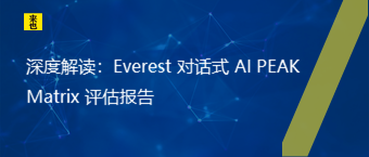 深度解读：Everest 对话式 AI PEAK Matrix 评估报告